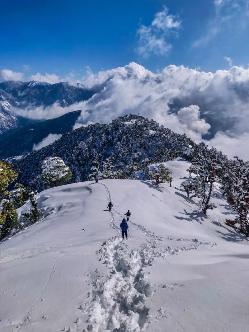 Chandigarh to Manali
